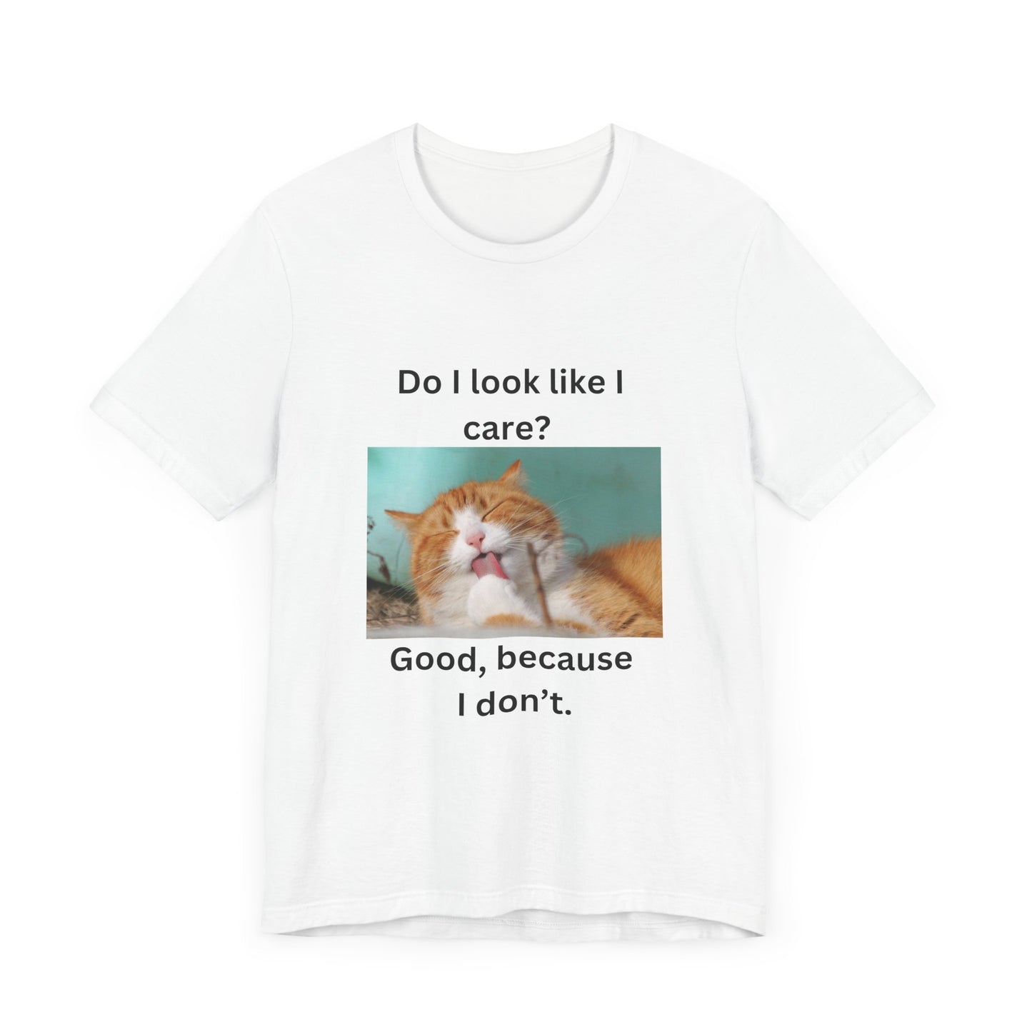 Meow Meme 1