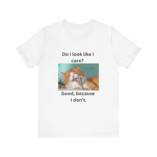 Meow Meme 1
